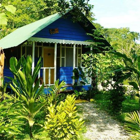 Hotel Casitas Mar Y Luz Puerto Viejo de Talamanca Εξωτερικό φωτογραφία