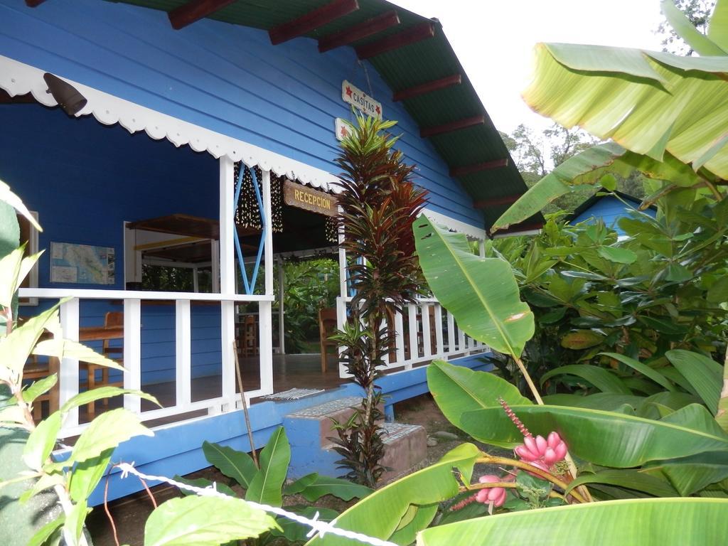 Hotel Casitas Mar Y Luz Puerto Viejo de Talamanca Εξωτερικό φωτογραφία