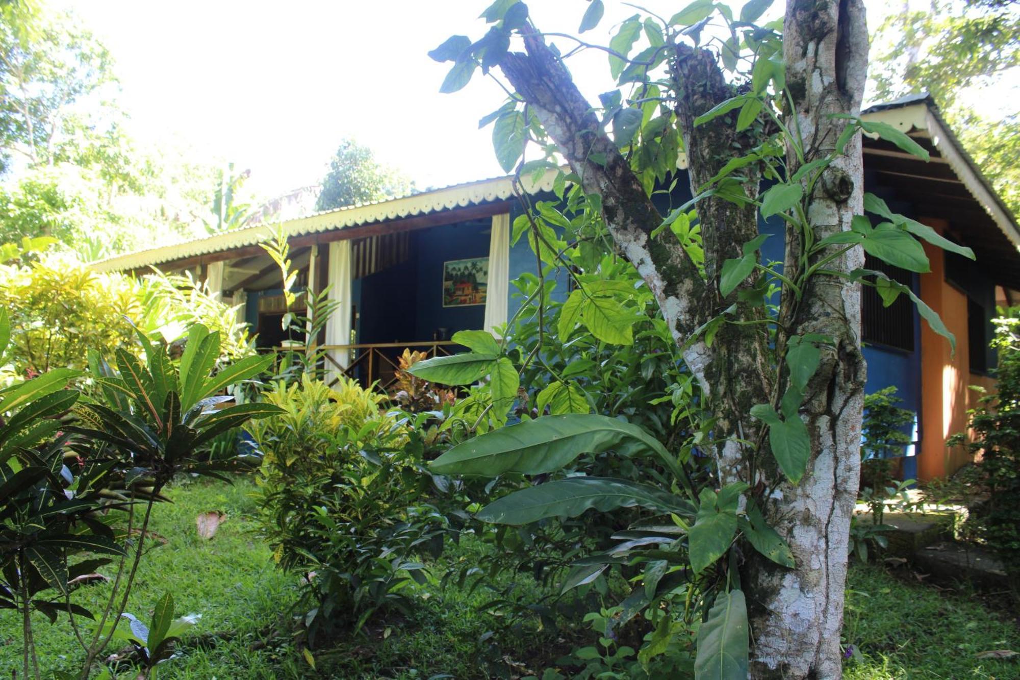Hotel Casitas Mar Y Luz Puerto Viejo de Talamanca Εξωτερικό φωτογραφία
