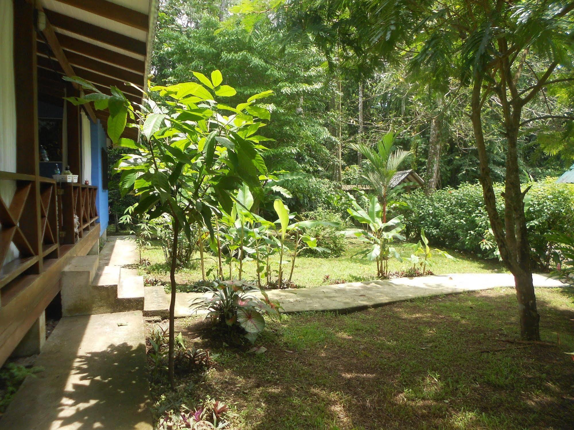 Hotel Casitas Mar Y Luz Puerto Viejo de Talamanca Εξωτερικό φωτογραφία